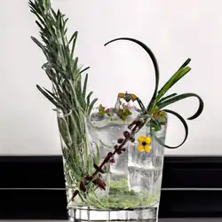 Une image de Le Tonique du Jardinier : l’apéritif parfait pour relever votre humeur - image générée par IA (DALL-E)