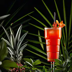 Une image de Cocktail Jardin Exotique : Un voyage gustatif inoubliable !