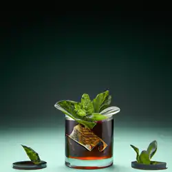 Une image de Le Ginfresh, le cocktail tendance de l'été !