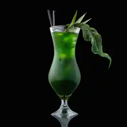 Une image de Verte Nuit : le cocktail qui te fera passer une nuit de folie !