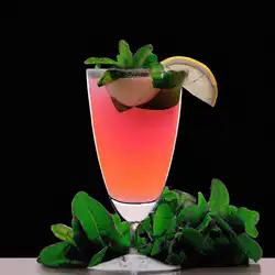 Une image de « Champagne MInty Lemon : le cocktail qui va te faire péter le feu !