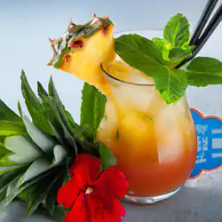 Une image de Nouvelle recette de cocktail : Le Paradise Breeze - image générée par IA (DALL-E)